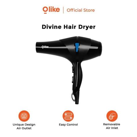 Divine hair dryer